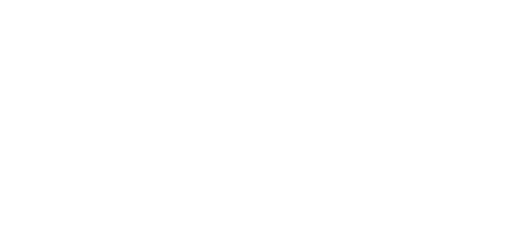 BINA Logo